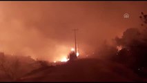 Manavgat'ta orman yangını (2)