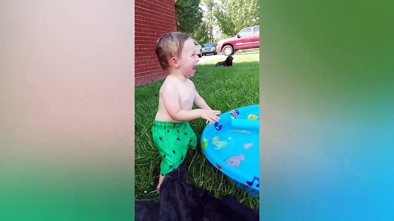 Funny Babies Playing With