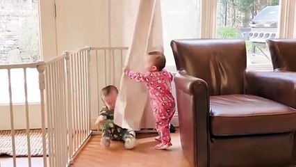 Hilarious & Heartwarming Moments You Can't Miss! 😂