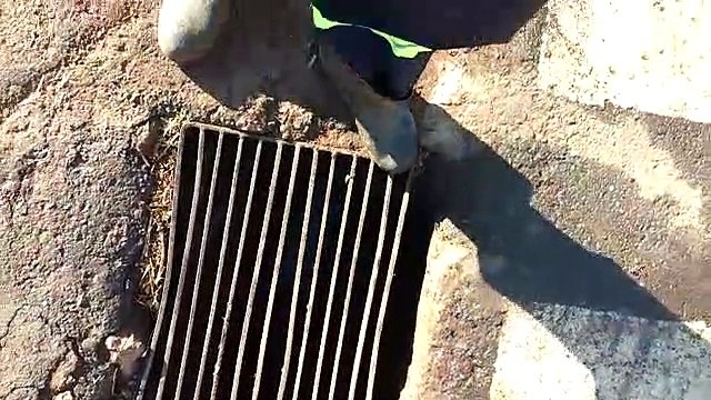 Dono de posto de combustíveis é preso após resíduos químicos serem despejados em galeria pluvial