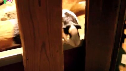 경남출장안마 -후불100%ョOiON7467N4367｛카톡VR91｝ 경남전지역출장안마 경남오피걸 경남출장마사지 경남출장안마 경남출장마사지 경남출장콜걸샵안마 경남출장아로마 ◎べ∫