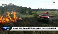 Warga Buka Lahan Perkebunan, Kebakaran Lahan Meluas