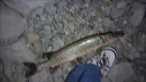 MCH 153 NIGHT TIME FISHING GLENIFFER LAKE ALBERTA CANADA.I TAKE A SIZE 12 SHOE.