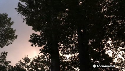 Before the storm and during the downpour