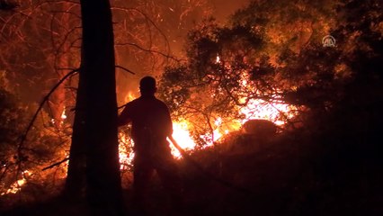 Manavgat'ta orman yangını (5) - ANTALYA