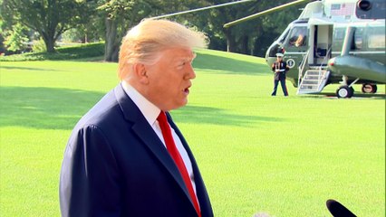 Donald Trump ne veut pas "mettre d'armes dans les mains de gens mentalement instables"