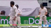 India vs Australia - Rishabh Pant Taunts Tim Paine About His 