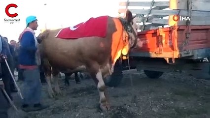 1 buçuk tonluk 'S-400'ü bakın kaç liraya sattı