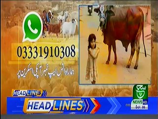 Bulletin 09pm 07 August 2019 Such tv