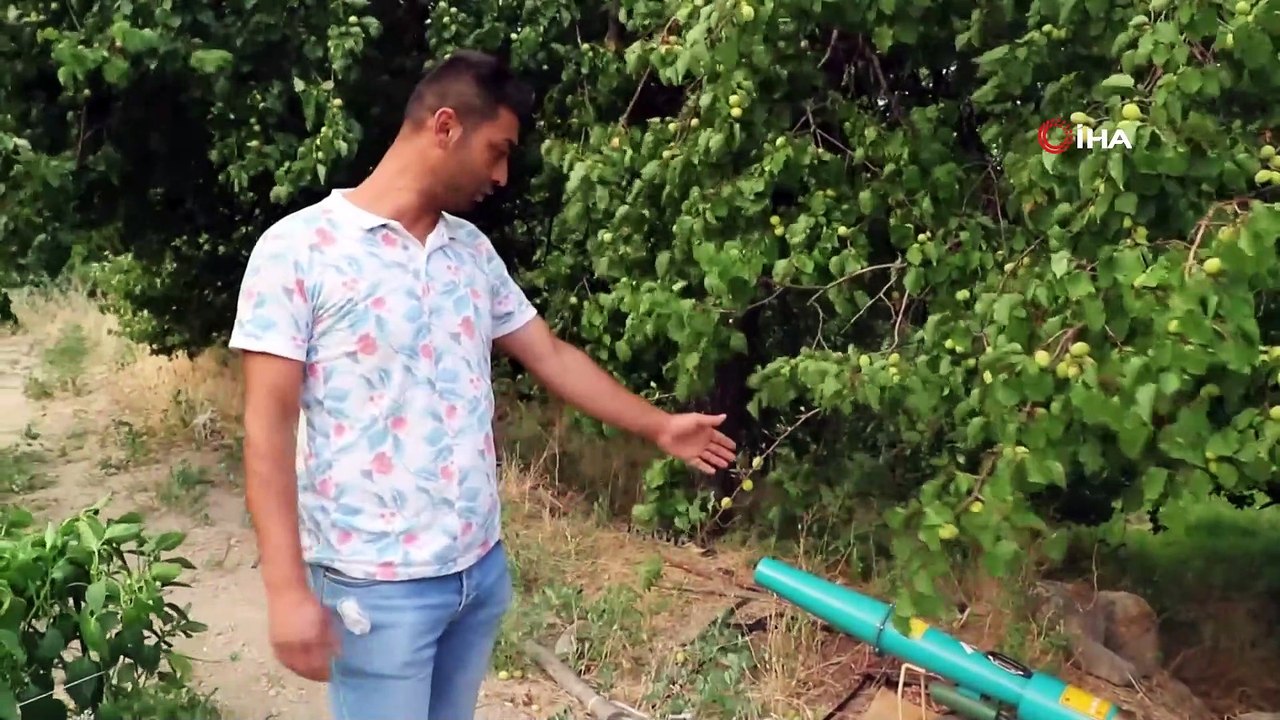 Erzincanlı çiftçilerden domuzlara karşı ‘ses bombalı’ önlem