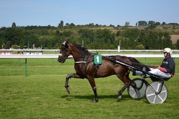 Los diferentes tipos de carreras de caballos