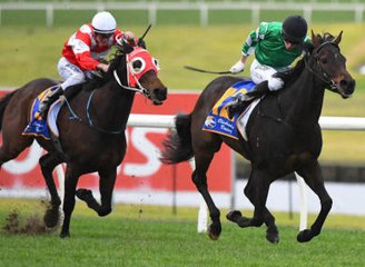 Hípica: Carreras en pista