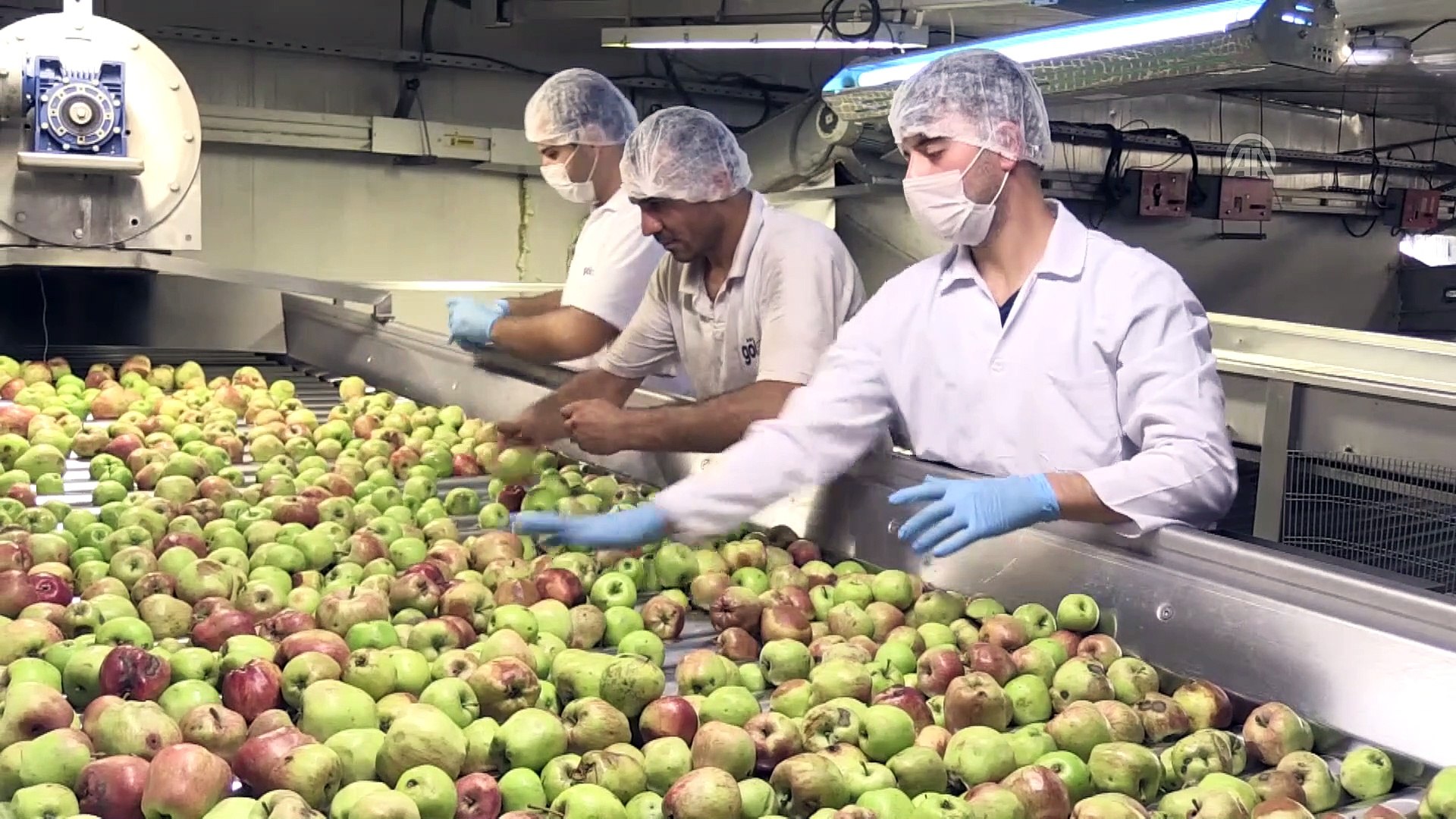 afyonkarahisar da uretilen meyve konsantreleri abd sofralarinda dailymotion video