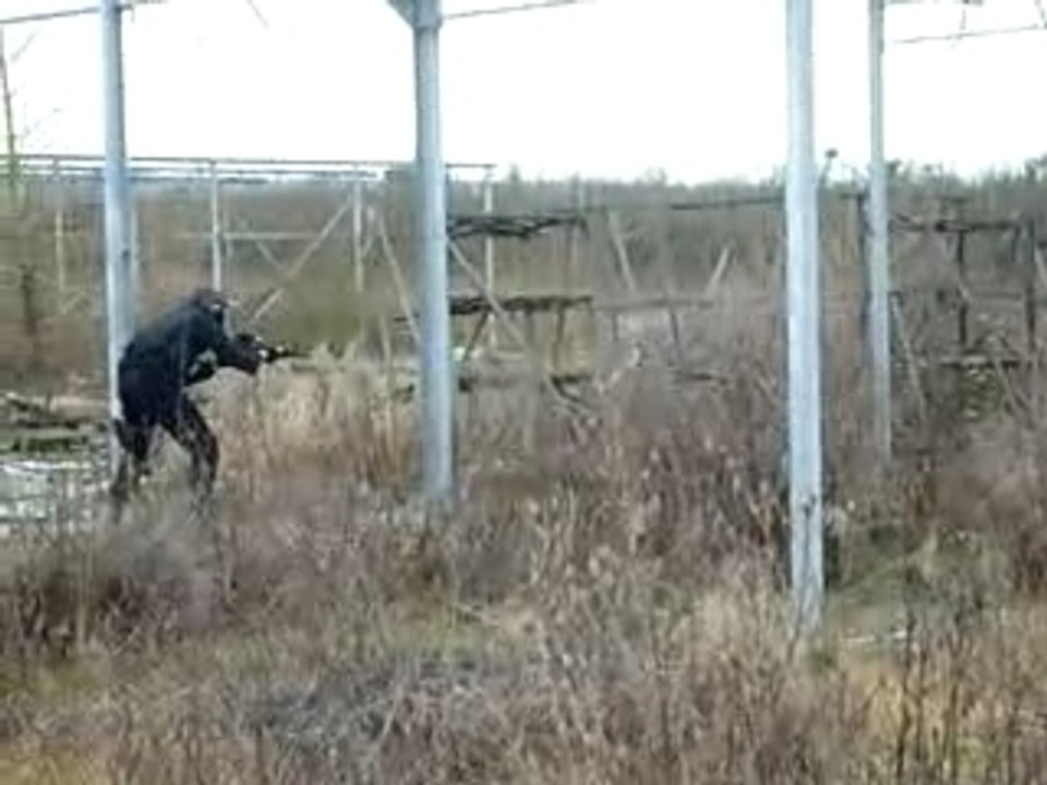 MOI