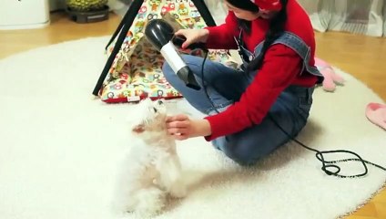 통영출장안마 -후불100%ョØ7ØW7301W9649｛카톡LA25｝ 통영전지역출장안마 통영오피걸 통영출장마사지 통영안마 통영출장마사지 통영콜걸샵∎㌨∦