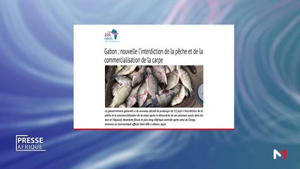 Presse Afrique - 08/08/2019