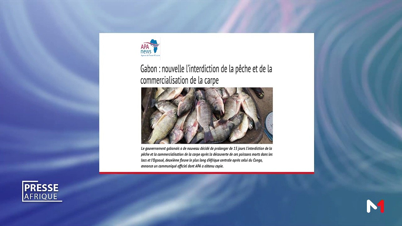Presse Afrique - 08/08/2019