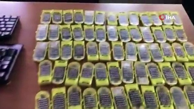 Sabiha Gökçen Havalimanı'nda bal arısı kaçakçıları yakalandı