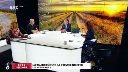 La GG du jour  : Les maires doivent-ils pouvoir interdire les pesticides ?  - 08/08