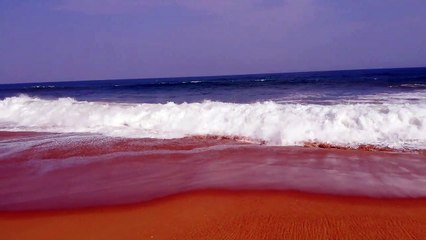 [Player rule] IMA disabled