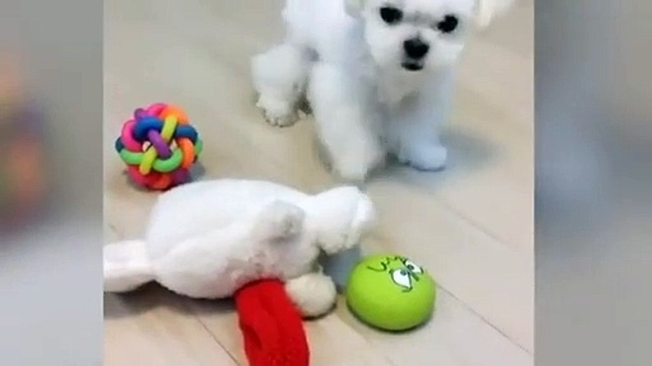 칠곡출장안마 -후불100%ョØ1ØZ7467Z4367｛카톡MAS91｝ 칠곡전지역출장안마 칠곡오피걸 칠곡출장마사지 칠곡안마 칠곡출장마사지 칠곡콜걸샵◢ば◁