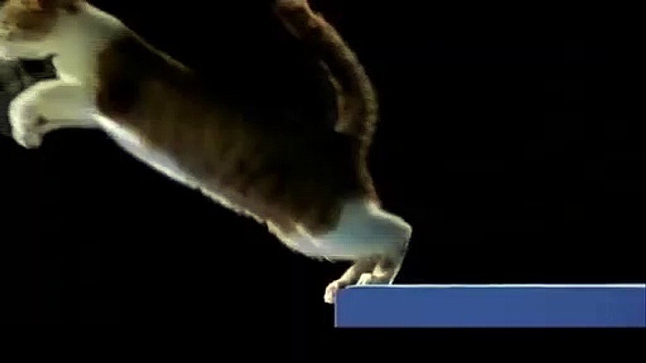 양천출장안마 -후불100%ョØ7ØM7575M0054｛카톡USA16｝ 양천전지역출장안마 양천오피걸 양천출장마사지 양천출장안마 양천출장마사지 양천출장콜걸샵안마 양천출장아로마 ㌪ん◒