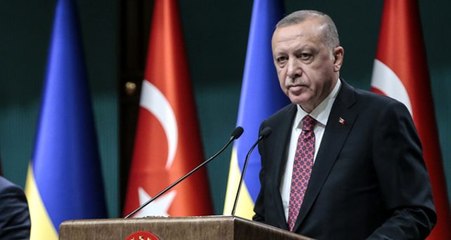 Erdoğan'ın "Tanımayacağız" çıkışına Kırımlı Senatör Tsekov'dan yanıt: O kadar önemli değil