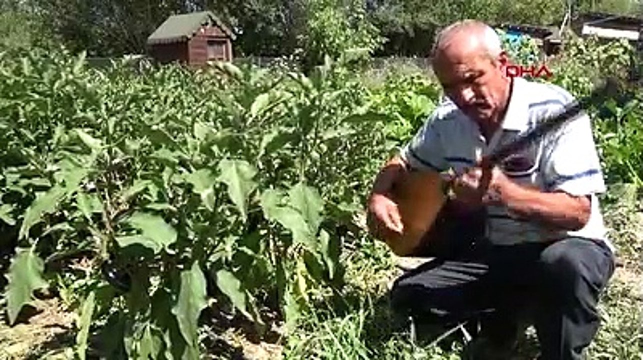 Emekli olduktan sonra bahçesindeki sebze, meyve ve tavuklar için saz çalıyor: Müzik ruhun gıdasıdır