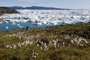 Crisis ambiental: Gigantesco deshielo en Groenlandia
