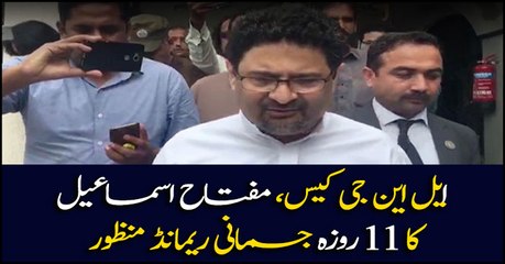 Miftah Ismail remanded in NAB custody for 11 days