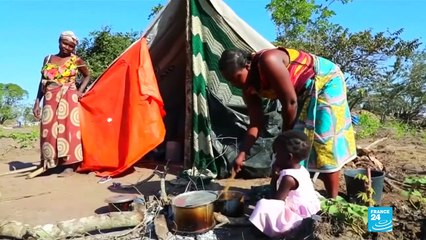 Les préconisation du GIEC pour assurer une alimentation pour tous