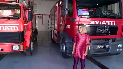 İtfaiye ağaçtan kurtardığı kedinin sahibini internetten buldu