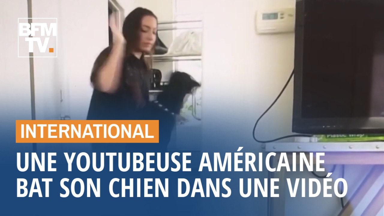 Cette youtubeuse américaine publie (par erreur) une vidéo où elle bat son chien