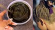 बालों पर लगाते हैं आप भी मेंहदी तो भूलकर भी ना करें ये काम | How to mix henna for hair | Boldsky