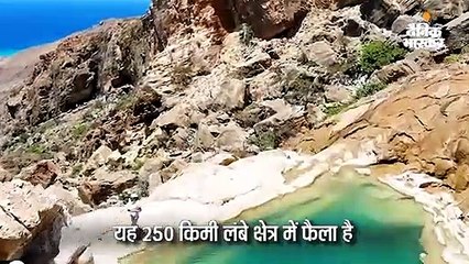 दुर्लभ वनस्पति और पक्षियों वाला 250 किमी लंबा आईलैंड
