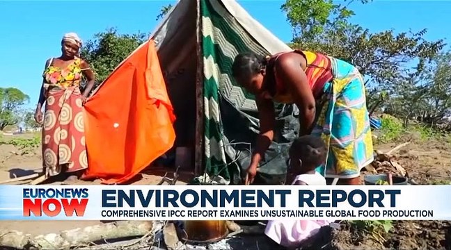 Eat plants, conserve land to curb climate change — IPCC