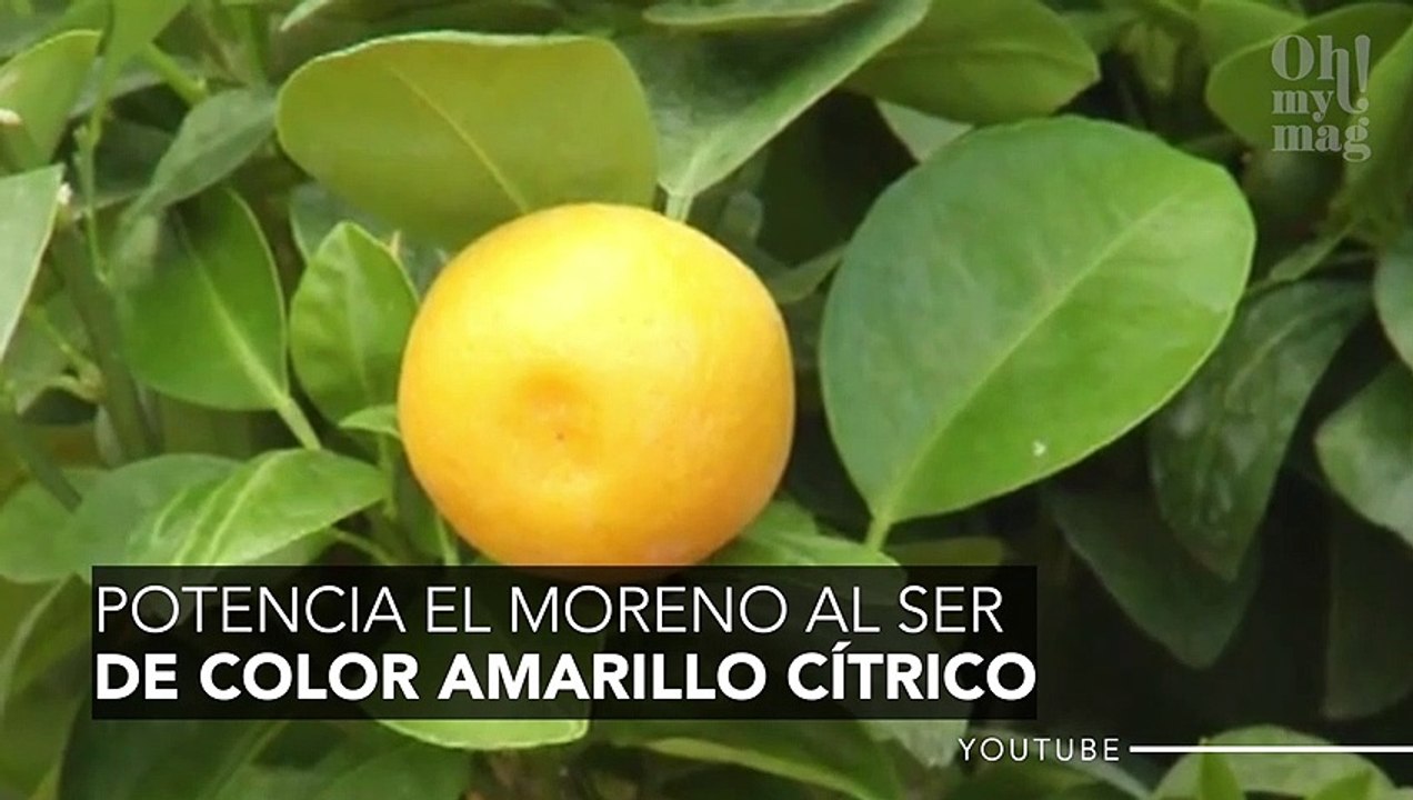 Mango tiene el vestido largo y plisado perfecto para todo tipo de cuerpos