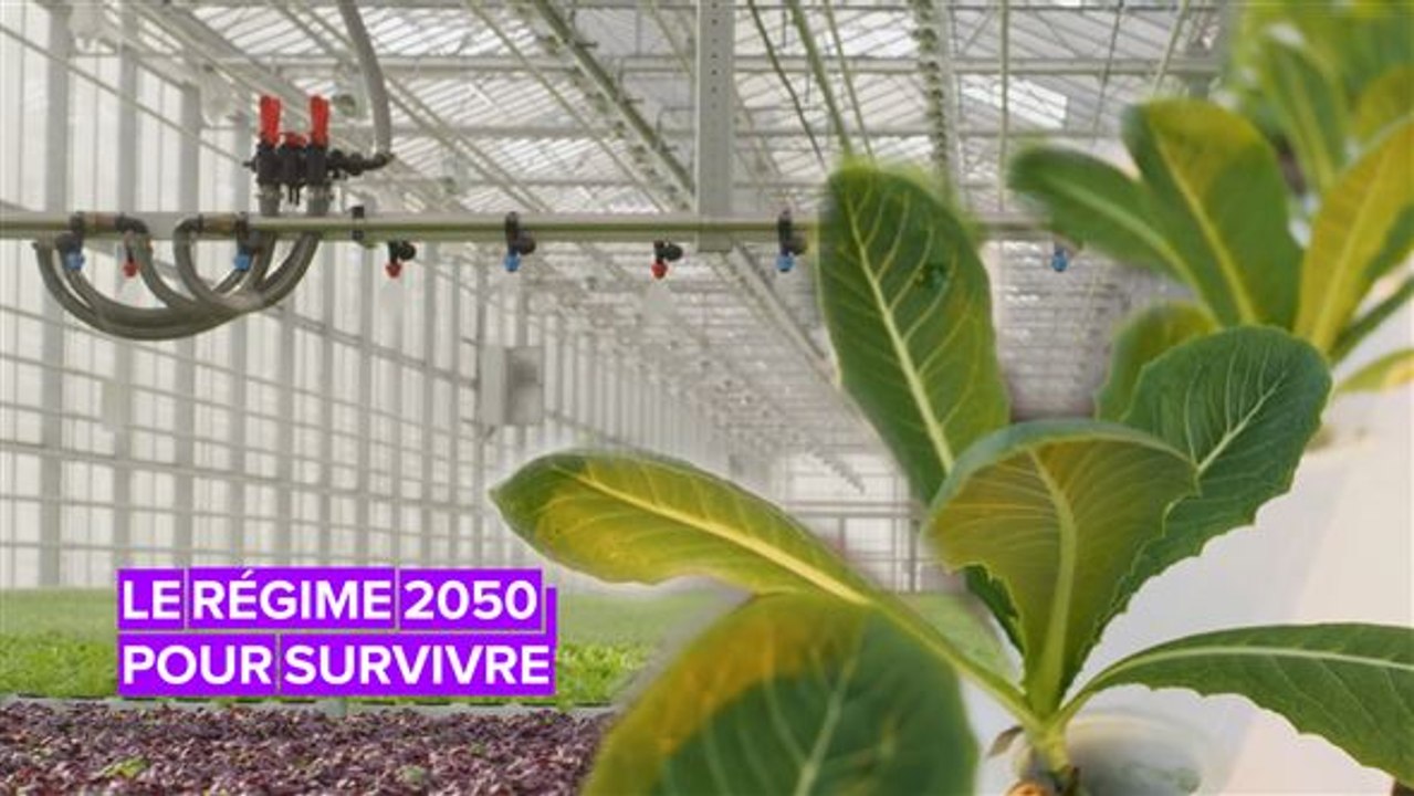 Le régime de 2050