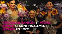 Michel Berger : Véronique Sanson révèle son regret sur leur rupture