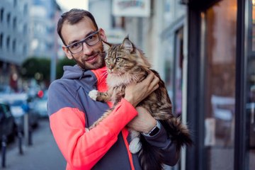 8 bénéfices des chats sur la santé (journée internationale des chats)