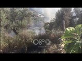 RTV Ora – Situatë e rëndë nga zjarret në Vreshtas, digjen ullinj, rrezikojnë disa banesa