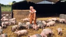 Professional Opera Singer Serenades a Bunch of Piglets Like a Scene Straight Out of a Disney Movie