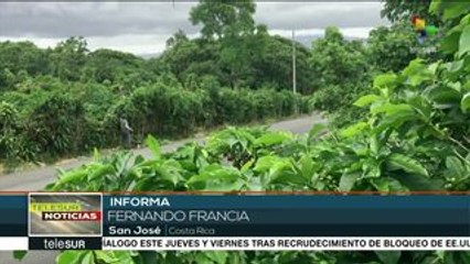 Video herunterladen: teleSUR Noticias: Delegación de Gob. venezolano no viajará a Barbados