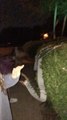 Girls Throw Toilet Paper at Friend's House as a Prank