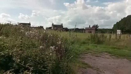 Attempted murder in Budby