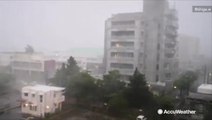 Powerful winds, heavy rain from Typhoon Lekima lash Japanese islands