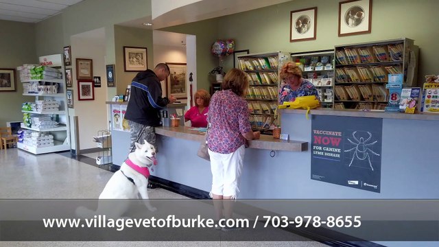 Welcome to Village Veterinary Clinic