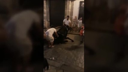 Indignación por el trato de un cochero de Sevilla a su caballo