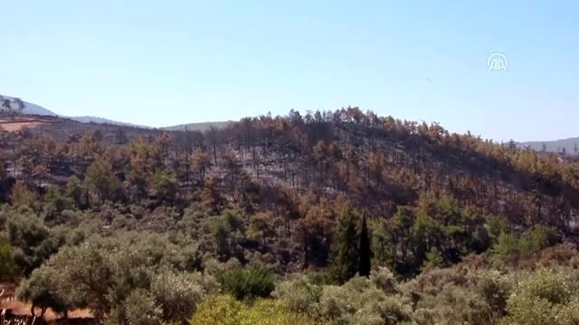 Bodrum'daki orman yangınından etkilenen vatandaşlar yaşadıklarını anlattı