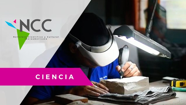 Expertos analizan los vestigios fosilizados de la biodiversidad salvadoreña